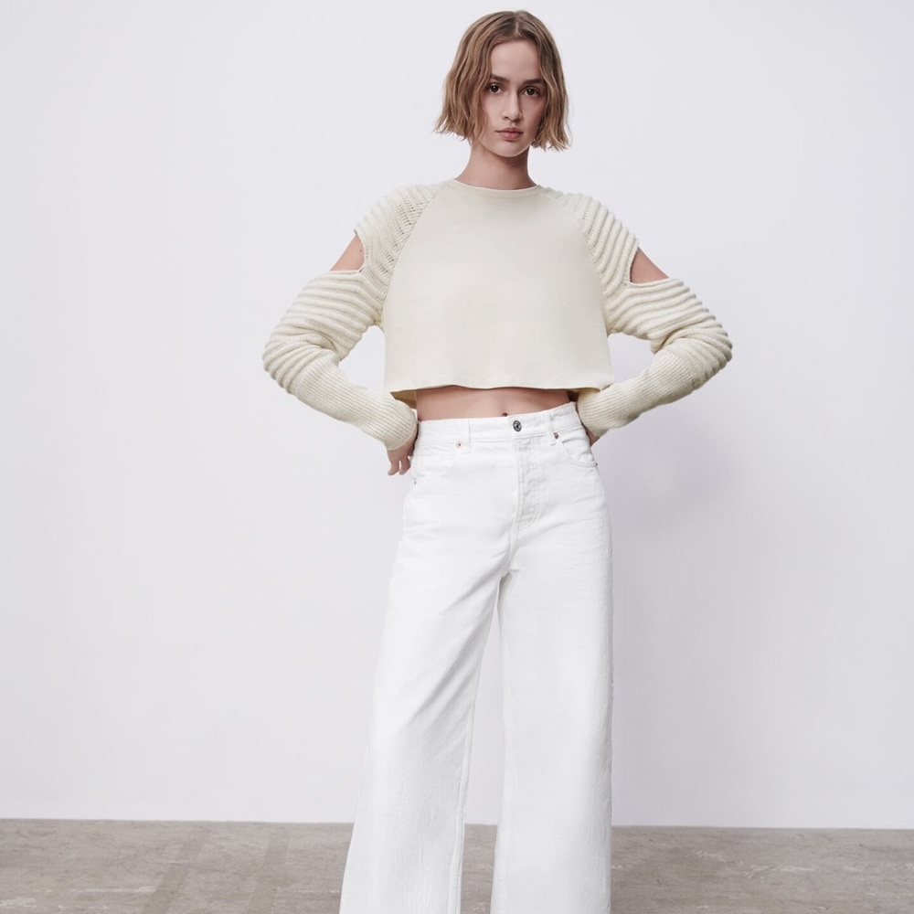 Zara cut out cropped top